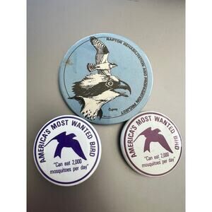 Lot of 3 Bird Pins, 2 Purple Martin Pins, Raptor Rehab Project
